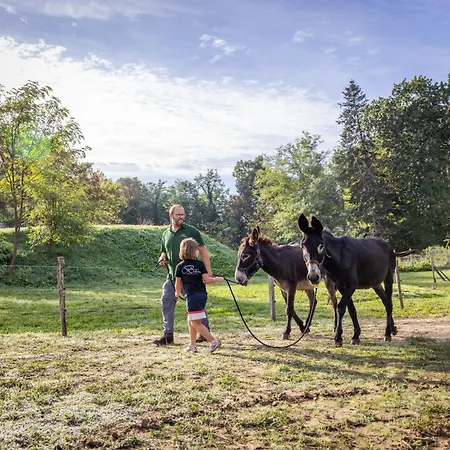 Logis Restaurant Chateau Bellevue فندق