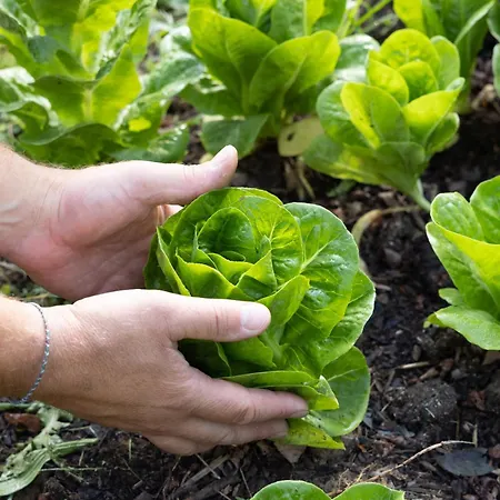 فندق Logis Restaurant Chateau Bellevue