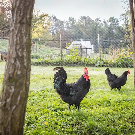 Logis Restaurant Chateau Bellevue فندق 3*