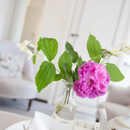 Logis Restaurant Chateau Bellevue 3* Казобон
